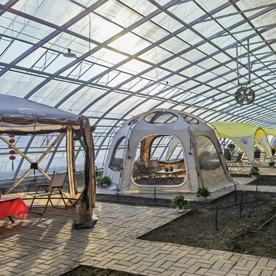 Hydroponics Flower Sunlight Greenhouse