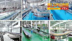 Quality Drink Chain Conveyor wholesale