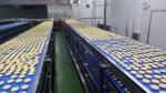 ISO 9000 Hygienic Independent Controlled Curved Belt Conveyor