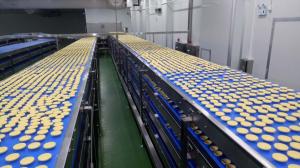 Quality Independent Controlled FDA SUS304 Food Industry Conveyors wholesale