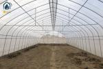 Agriculture Tunnel Greenhouse Galvanized Steel Frame Single Span Greenhouse