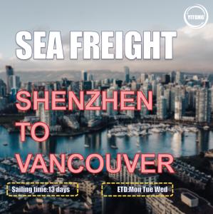 Quality HMM YML Liner International Sea Freight From China To Canada Vancouver wholesale