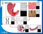 Hunter 4025 NLS 8d lris nls bioresonance NLS