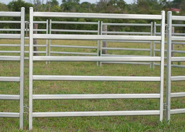 Galvanized Steel Cattle Yard Panels Anti - Oxidizing Property Excellent Pressure