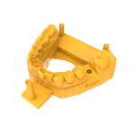 Orange Yellow Dental 3d Resin Planting Model Photosensitive Resin