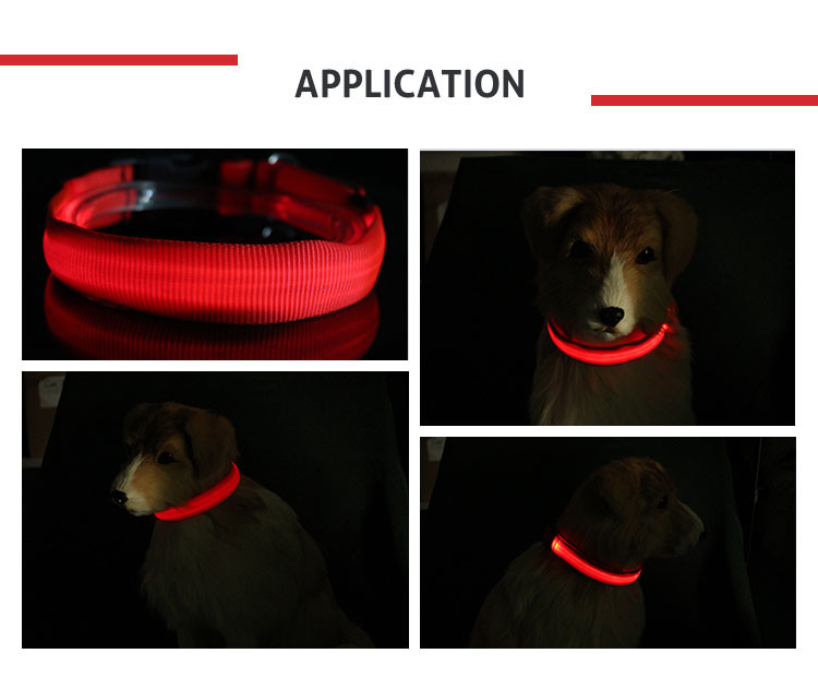 Stylish Pet Cat Dog Glow LED Collar Flashing Light Up Nylon Night Safety Collars