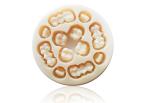 High Toughness Pre Sintered Zirconia Blocks High Temperature Resistance