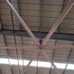 Quiet HVLS Big Industrial Ceiling Fans , 22ft Large Diameter Ceiling Fans