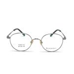 TD025 Fashionable Titanium Frame Sunglasses for Women