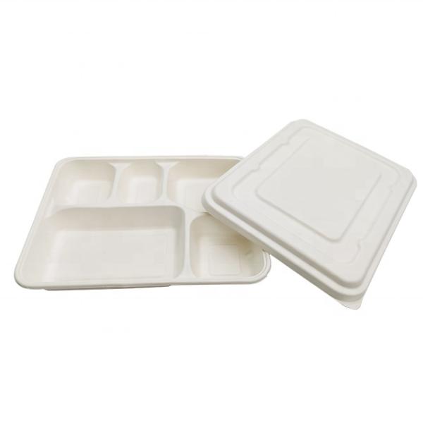 Biodegradable Food Box White Color Food Grade Sugarcane Pulp Material Non