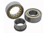 Automotive Cylindrical Roller Bearing Brass Nylon Steel Cage nj2209 ecm/c3