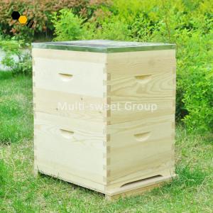 Quality 10 Frames Pinus Sylvestris 20mm Australian Style Bee Hive wholesale