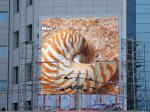 P8.33mm IP65 Waterproof Outdoor LED Display Screen Cost Efficient Large LED