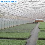 Double Arches Double Film Agricultural Growing 10X50m Single Span Greenhouse