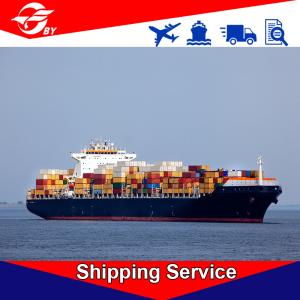 Quality Sea Freight DDP Delivery Services Ningbo To Tacoma Denver San Antonio wholesale
