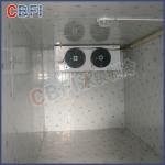 Heavy Duty Commercial Blast Freezer For Fish Quick Frozen -30 - -60 Temperature