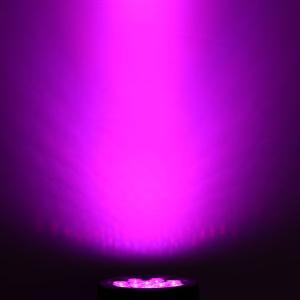 Quality 12*10W RGBW 4 In 1 IP65 LED Par Can Stage Event Show Lighting Outdoor LED Par wholesale