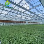 12m Width Agricultural Glass Greenhouse Residential Hydroponic Strawberry