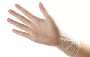 Quality PVC Powder Free Disposable Vinyl Gloves For Foodservice wholesale