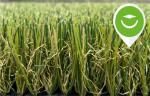 Monofilament Curly Yarn Outdoor Artificial Grass Healthy Landscaping False Turf