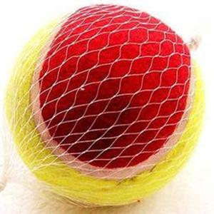 Quality 9.5&quot; Jumbo inflated tennis ball wholesale