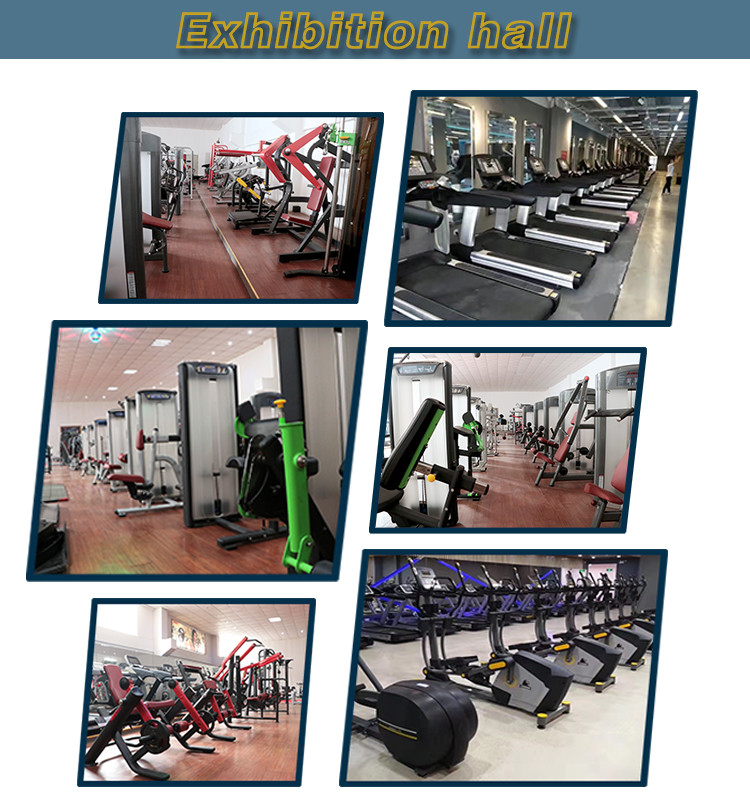 OEM Back Extension Gym Physical Workout Equipments