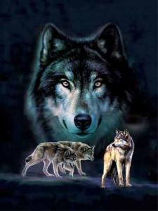 Quality Wall Art Cartoon 3D Lenticular Poster Home Decoration Custom Lenticular Printing wholesale