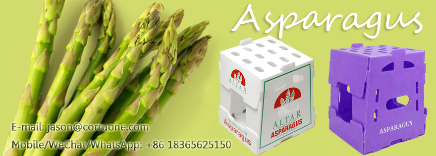 PP Corrugated plastic box vegetable fruit box