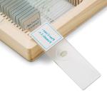 Shockproof Gift Fixed Medical Research 100pcs Microbiology Prepared Slides
