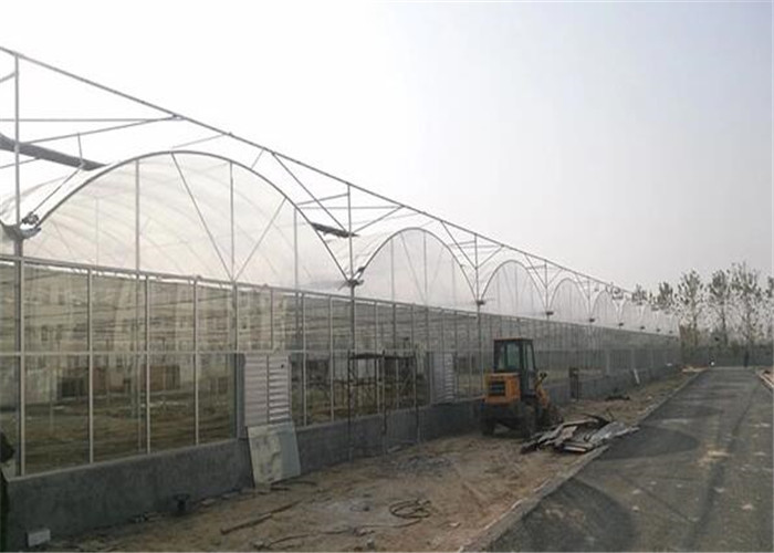 Double Layer Plastic Film Greenhouse Comprehensive Protection Designed