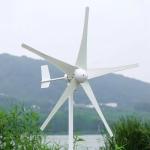 230VAC/380VAC Wind Turbine Generator For Home Wind Turbine Energy