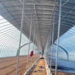 Commercial Greenhouse Single Span Tunnel Film Greenhouse with 30 Days Return