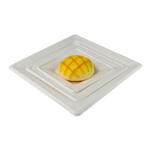 Quality 6Inch Biodegradable Sugarcane Bagasse Plates Square Retangular Plate 7Inch wholesale
