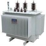 11kv 1000kva Oil Immersed Transformer Three Phase Fully Sealed Structure