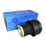 TS16949 Certified Rear Air Suspension Spring for Porsche Cayenne