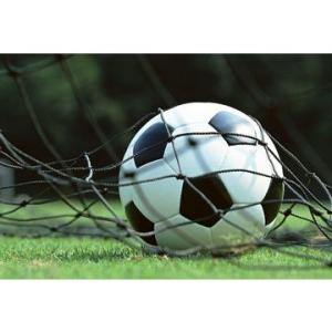 Quality Artificial Grass, Tencate Thiolon Fifa Standard wholesale