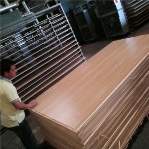 Quality Waterproof Solid Color Hardwood Core Melamine Faced Plywood wholesale