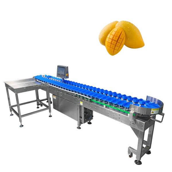 Stainless Steel 304 Automatic Size Sorting Machine For Mango Fruit Vegetables