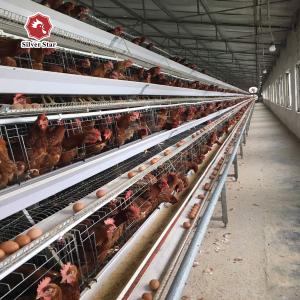 Quality 96 Birds A Type Layer Battery Chicken Cage Steel Wire Mesh wholesale