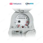 Accuracy 868/915Mhz Direct Reading LoRaWAN Smart Water Meter