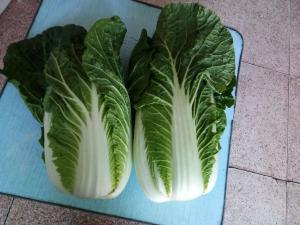 Quality Green Outside Fresh Chinese Cabbage , Small Chinese Cabbage No Pesticide wholesale