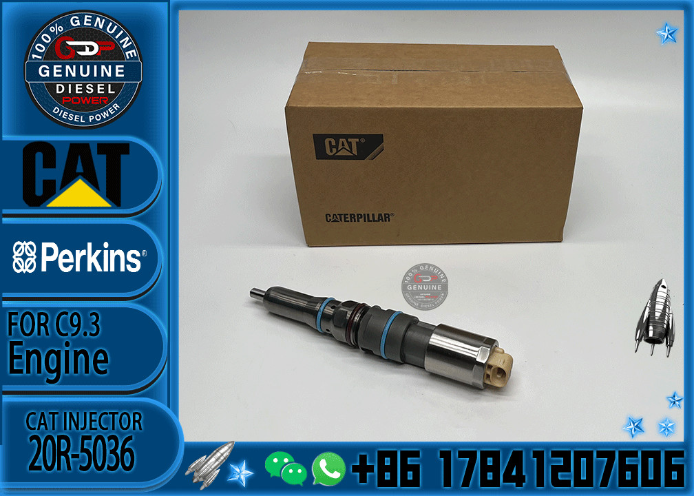 Common Rail Fuel Injector 456-3493 20R-5036 456-3509 456-3544 20R-5079 363-0493 367-4293 20R-1318 For Cat 336E C9.3