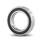 6009 2RS 6009 ZZ Bearing Bore Size 44.992 45 mm Cage Nylon or Steel from CIE