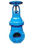 Z41X RRHX Resilient Seated Gate Valve Blue Iron Coating EPDM / NBR