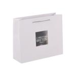 FSC Hot Stamping Logo Paper Gift Bags Packaging Clothing With Handle