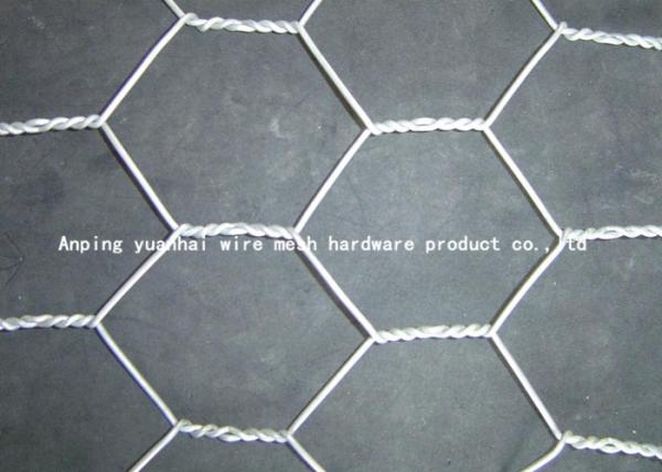 Cheap Hexagonal Chicken Coop Gabion Wire Mesh For Farm Normal / Reverse Twist Style for sale