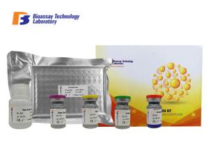 Quality Bovine High Specificity T4 Enzyme Immunoassay ELISA Kit With Oem Service wholesale