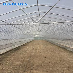 Quality Tomato Growing Naturally Ventilated Greenhouse Plastic Film Greenhouse wholesale