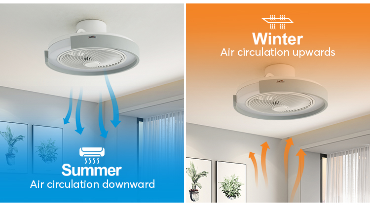 20" Round LED Ceiling Fan with 360 Degree High Airflow and Color Temperature Options