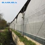 0.2mm film Standard Multi Span Greenhouse for Vegetable Fruits Flowers